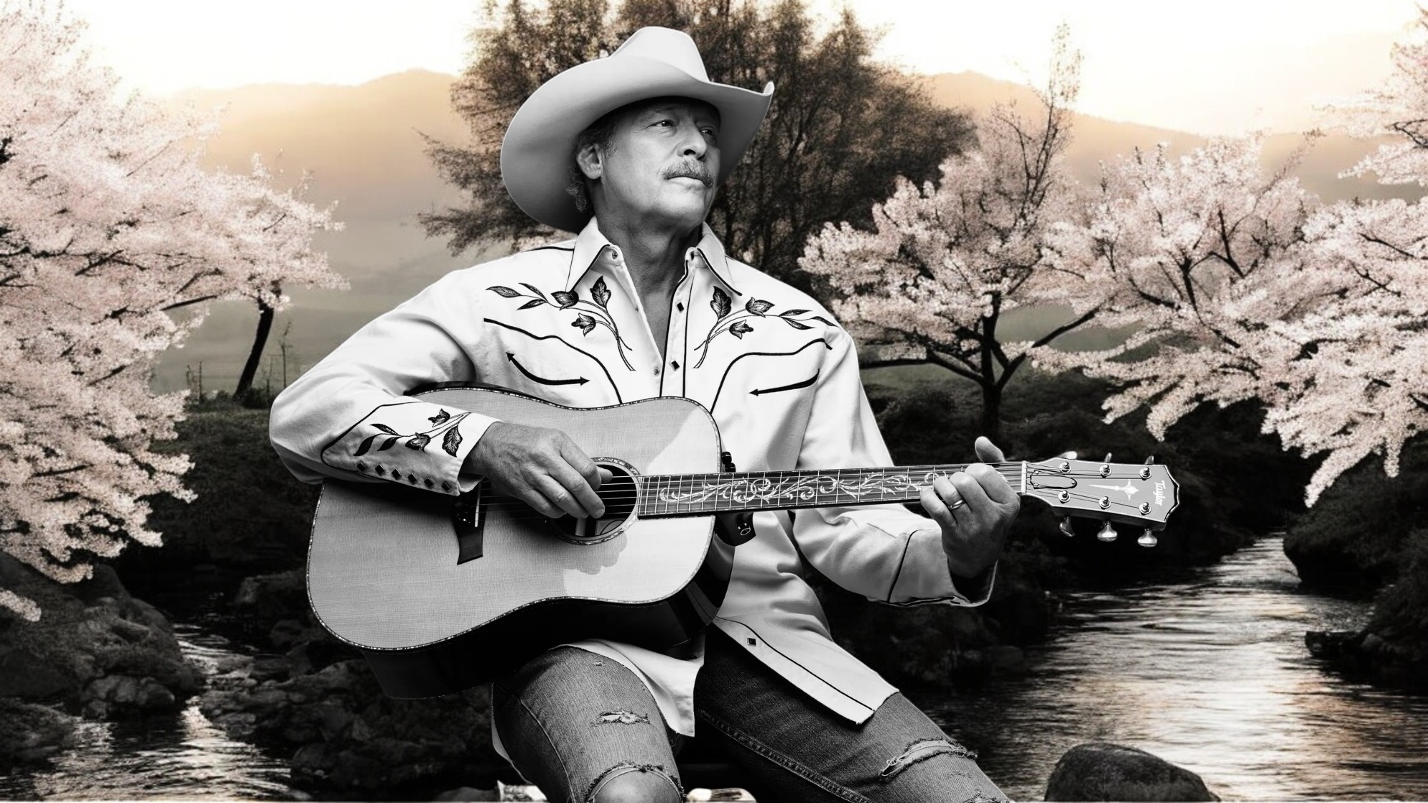 Alan Jackson – Work in Progress